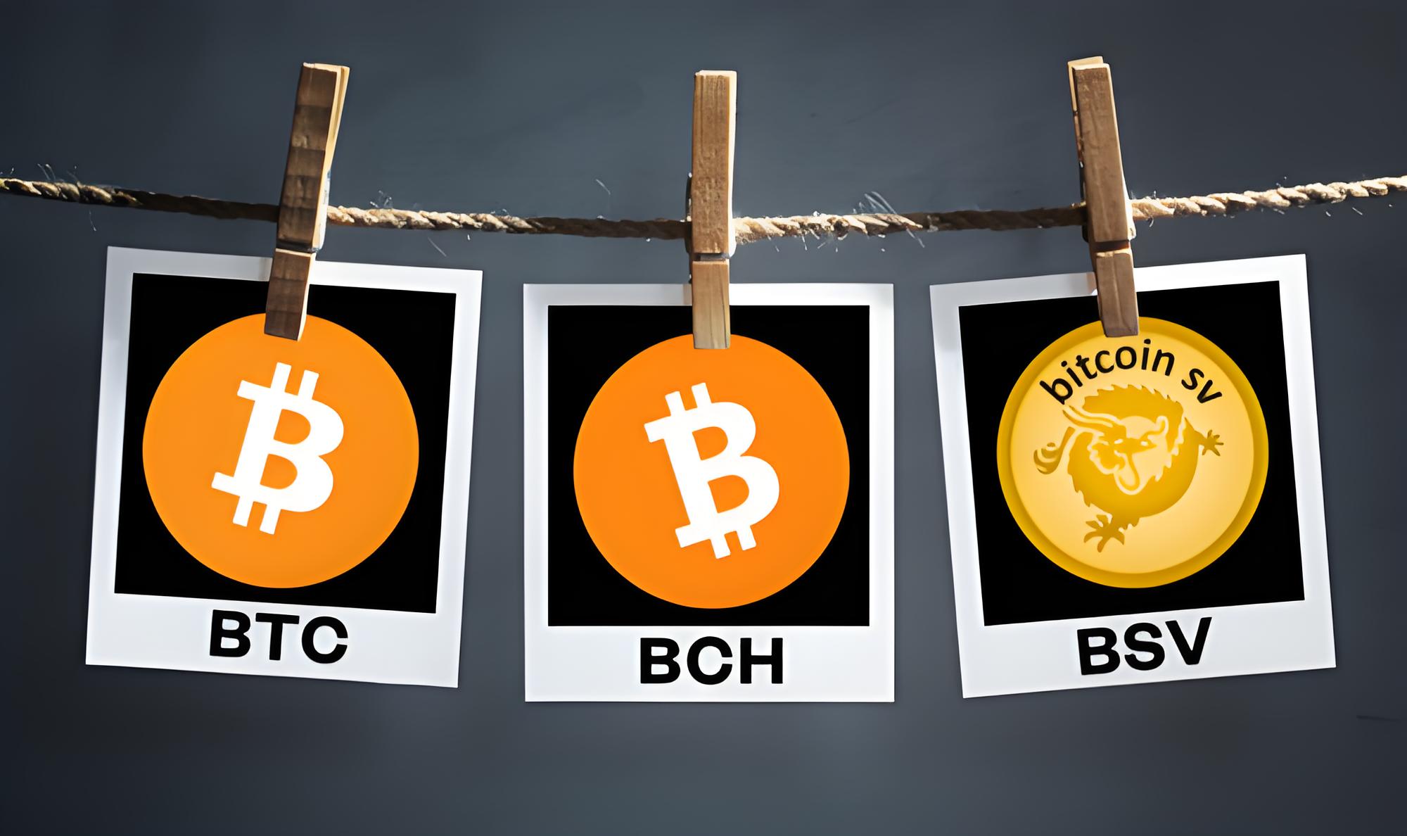 欧交易所钱包安全吗？支持哪些主流币种？全方位解析其安全机制与兼容性